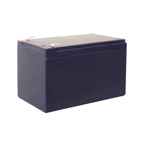 IPS-BAT12V-12AH