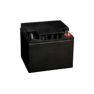 IPS-BAT12V-45AH
